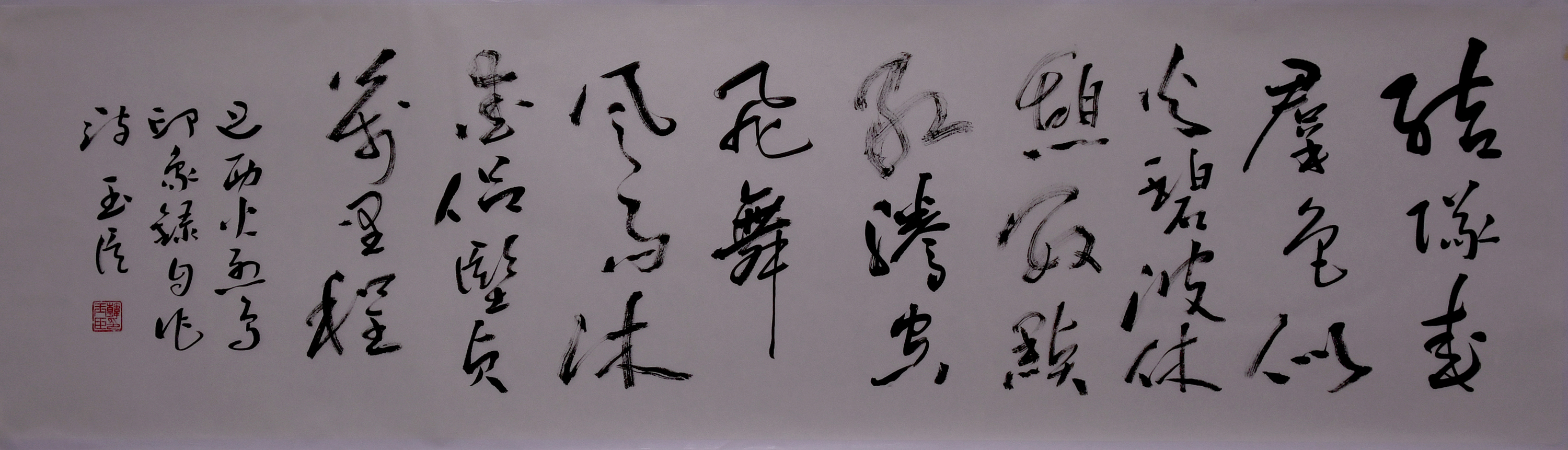 巴西火烈鸟